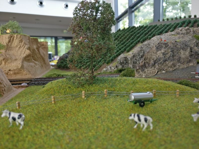 Modul Weinberg auf der Modulanlage der Rhein-Main-Gruppe der N-Modulbahner auf der Inspiration Modellbau 2017 in Nieder-Olm in der Ludwig-Eckes-Halle.