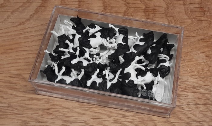 Die Herde im Hosentaschenformat:  30 schwarz-weiß gescheckte Kühe im Preiser Set 14408