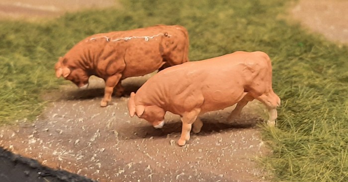 Zwei Kühe aus dem Set Preiser 14409, von denen die linke mit dem Umber Wash von Games Color behandelt wurde. Der optische Unterschied zur unbehandelten Figur rechts ist recht deutlich. Der Glanz auf der linken Kug verschwindet mit dem Trocknen völlig.