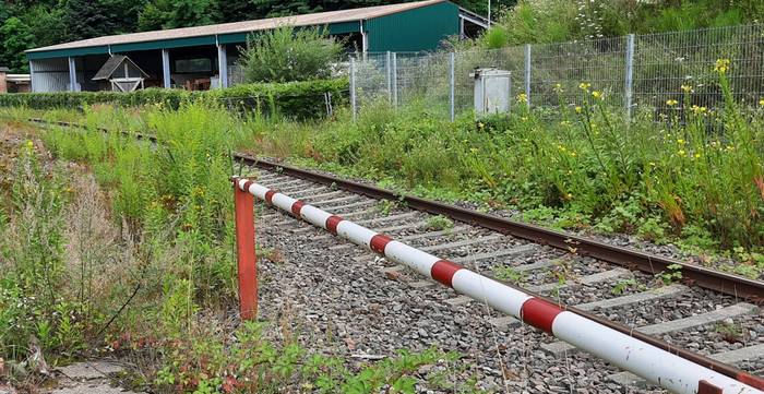 Das Ziehgleis geht noch eine ganze Weile weiter. Es wirkt auch recht gut in Schuss. Man könnte also, wenn man nur wollen würde... Der Bahnhof Hinterweidenthal birgt Möglichkeiten...