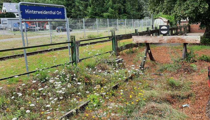 Der pittoreske Prellbock im Bienen- und Schmetterlingsparadies am Bahnhof Hinterweidenthal.