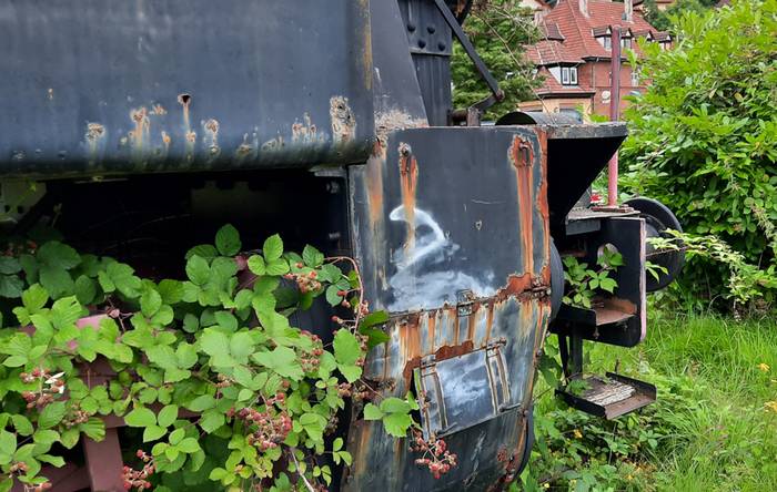 Und die Natur bahnt sich ihren Weg ins Innere der früher so stolzen Škoda 1435 Cs 500 mit der Fabriknummer 1333 am Bahnhof Bundenthal-Rumbach