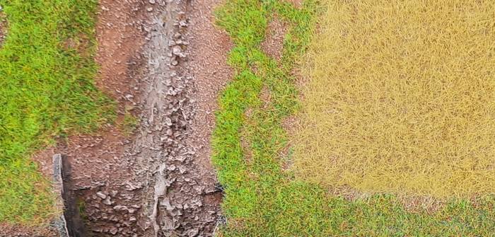 Gras, Getreide und anderes Gewächs: Doncolor pröbelt für den "großen Wurf"