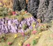 Modelleisenbahn + Landschaft: Tipps (39 Fotos) von Michael aus Fulda (Anlage "Bad Sammitz")