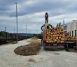 Neuer Holzverladebahnhof entlastet Straßen und Wälder (Foto: DB Cargo Logistics)