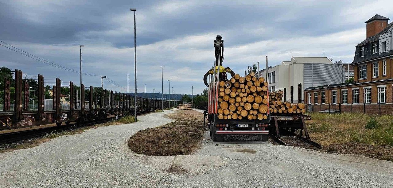 Neuer Holzverladebahnhof entlastet Straßen und Wälder (Foto: DB Cargo Logistics)