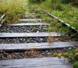 Reaktivierung stillgelegter Schienenstrecken: Interesse und Potenzial (Foto: AdobeStock - sida 569643328)