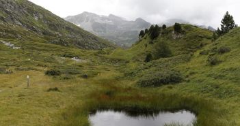 Goldene Wälder erleben und regionale Traditionen im herbstlichen (Foto: Ticino Turismo)